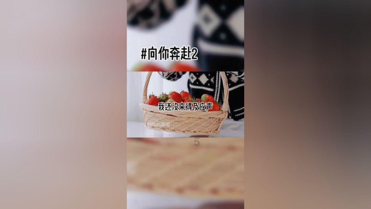 晚邮报：引援聚焦意甲，热刺准备引进亚特兰大中场埃德森