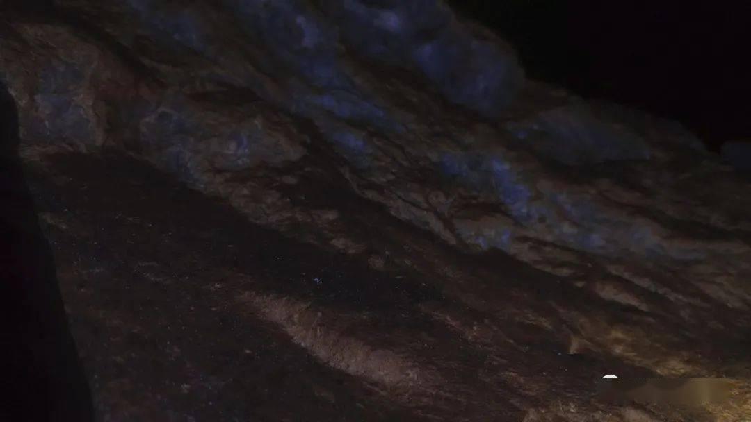 秦海璐参加《中餐厅》被吐槽情商低，从哪些细节可以看出来？
