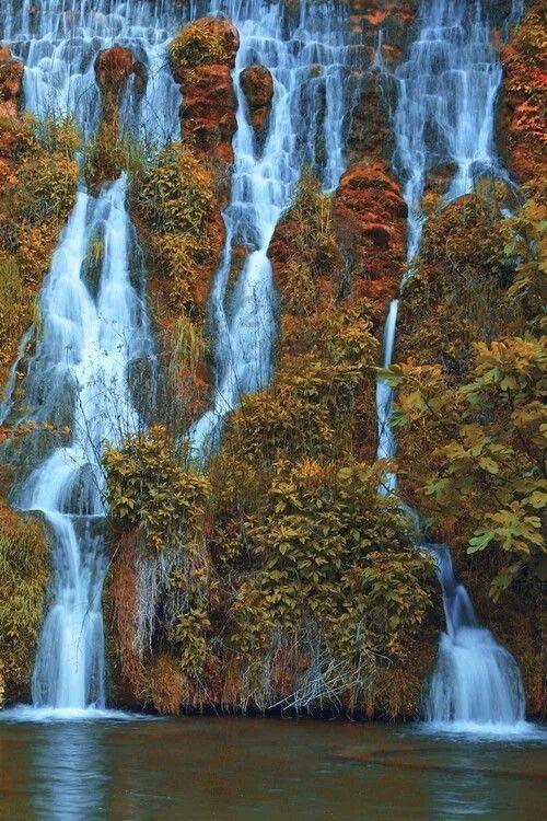 将大通湖区打造成“洞庭虾蟹水草之都”